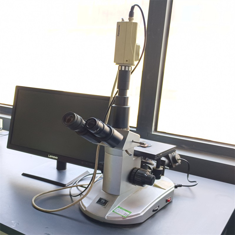 金相显微镜