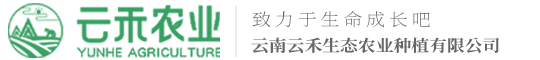 云南云禾生态农业种植有限公司