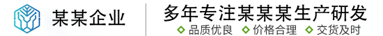 某某某科技有限公司